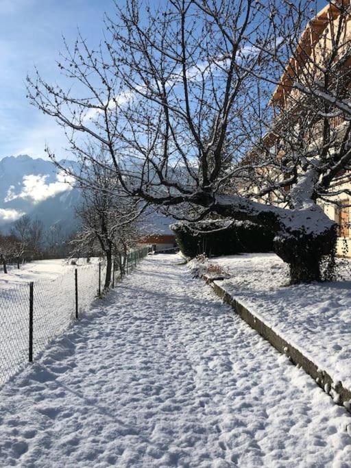 Appartement Rez De Jardin Montee De L'Alpe D'Huez La Garde  Buitenkant foto