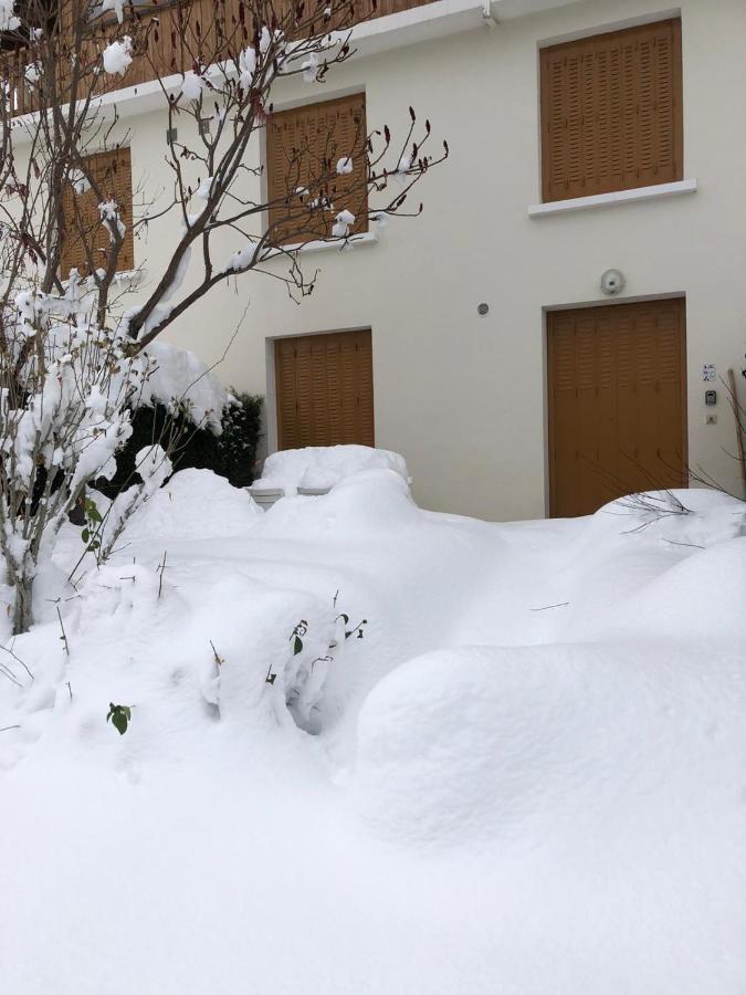 Appartement Rez De Jardin Montee De L'Alpe D'Huez La Garde  Buitenkant foto